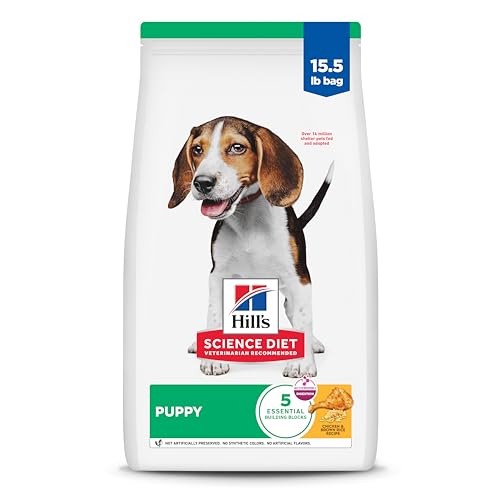 Best Dog Food for a Beagle Puppy