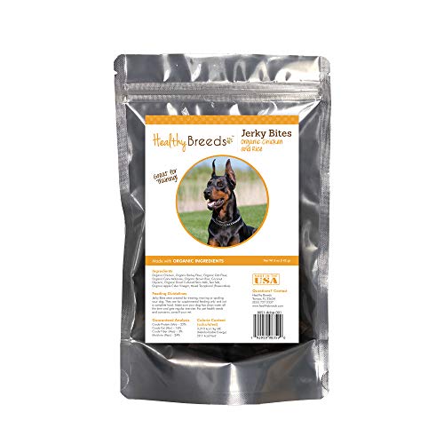 Best Dog Food for a Doberman Pinscher