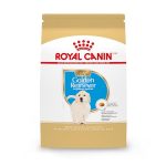 Best Dog Food for a Golden Retriever Puppy