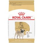 Best Dog Food for a Pug