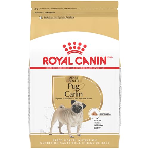 Best Dog Food for a Pug