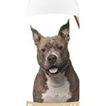 Best Dog Food for American Staffordshire Terriers