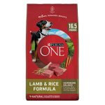 Best Dog Food for an Australian Shepherd