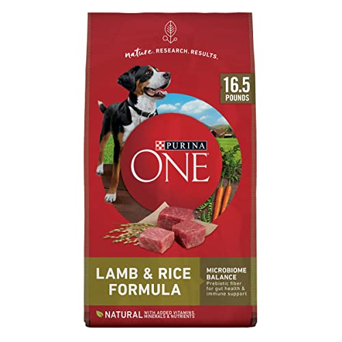 Best Dog Food for an Australian Shepherd