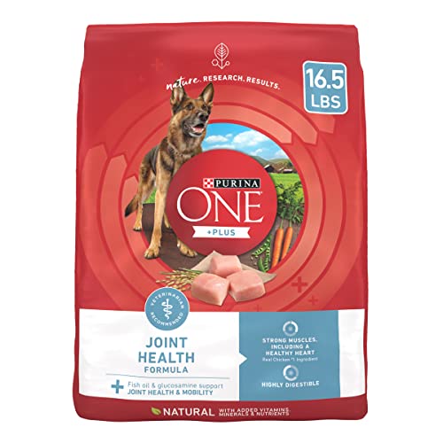 Best Dog Food for Arthritis