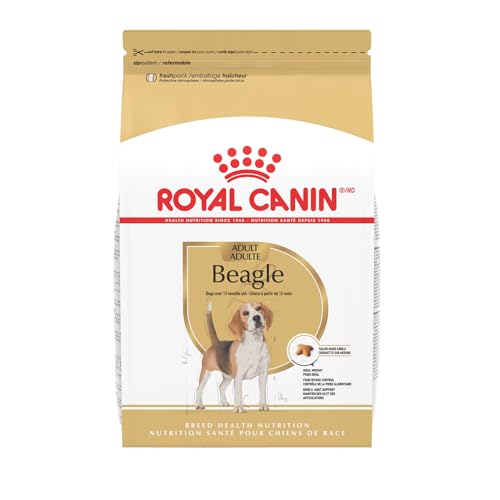 Best Dog Food for Beagles