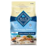 Best Dog Food for Bernese Puppies