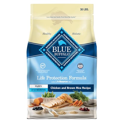 Best Dog Food for Bernese Puppies