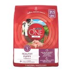 Best Dog Food for Bernese Puppy