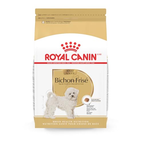 Best Dog Food for Bichons
