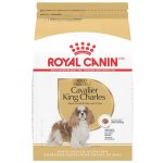 Best Dog Food for Cavalier King Charles