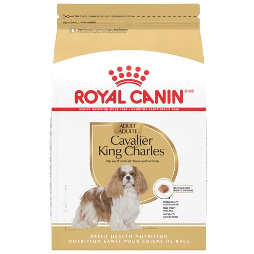 Best Dog Food for Cavalier King Charles