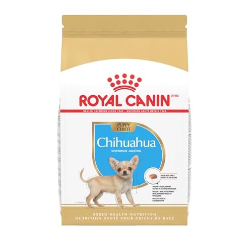 Best Dog Food for Chihuahua Puppies