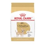 Best Dog Food for Chihuahua Terrier Mix