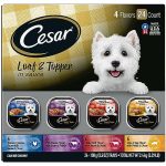Best Dog Food for Chiweenies