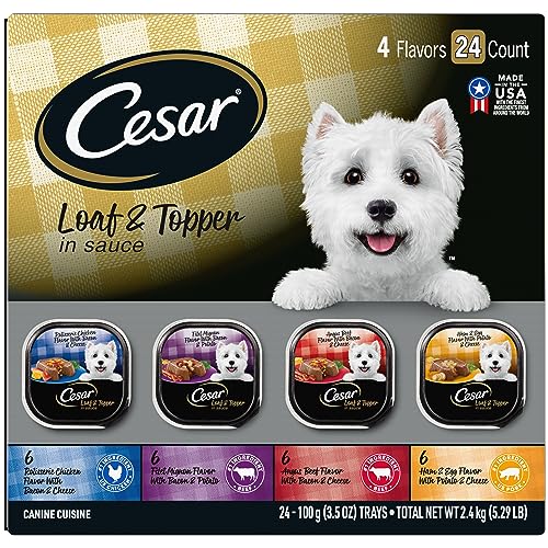 Best Dog Food for Chiweenies