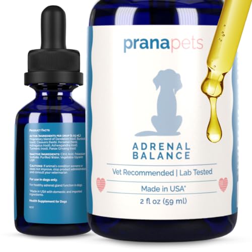 Best Dog Food for Cushing'S