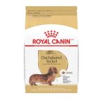 Best Dog Food for Dachshund