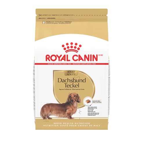 Best Dog Food for Dachshund