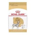 Best Dog Food for Dalmatian Puppy