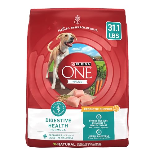 Best Dog Food for Digestive Problems