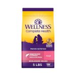 Best Dog Food for Discoid Lupus