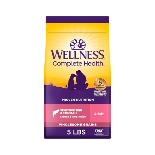 Best Dog Food for Discoid Lupus