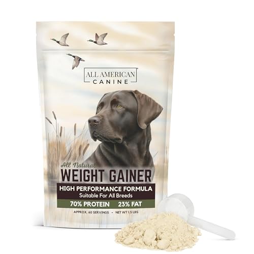 Best Dog Food for Dogs to Gain Weight