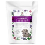 Best Dog Food for Dogs With Cancer