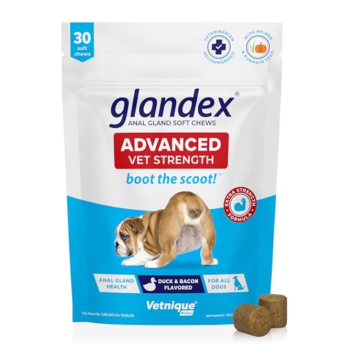 Best Dog Food for Dogs With Constipation