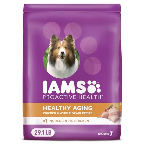 Best Dog Food for Dogs With Hip Dysplasia