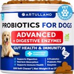 Best Dog Food for Dogs With Yeast Issues