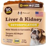 Best Dog Food for Elevated Liver Enzymes