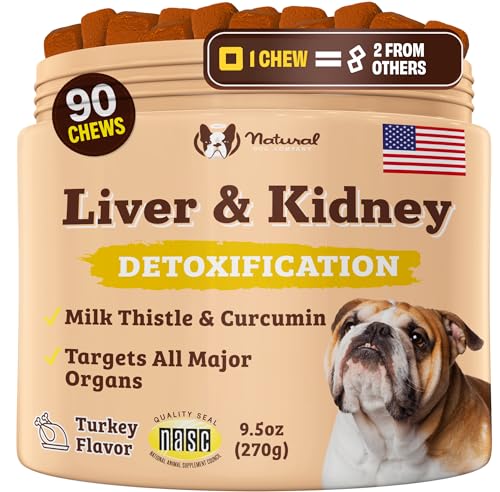 Best Dog Food for Elevated Liver Enzymes