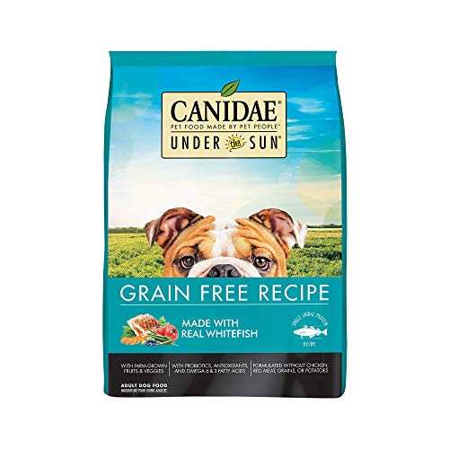 Best Dog Food for English Bulldogs
