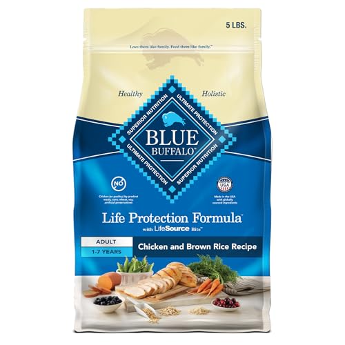 Best Dog Food for Farting Dogs