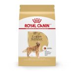 Best Dog Food for Golden