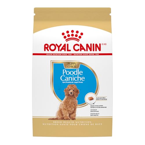 Best Dog Food for Golden Doodle Puppies