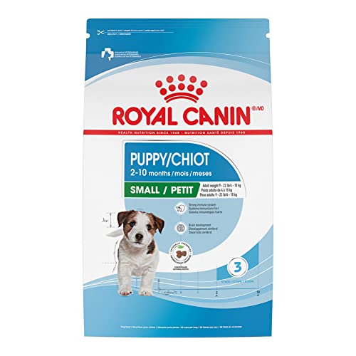 Best Dog Food for Goldendoodle Puppies