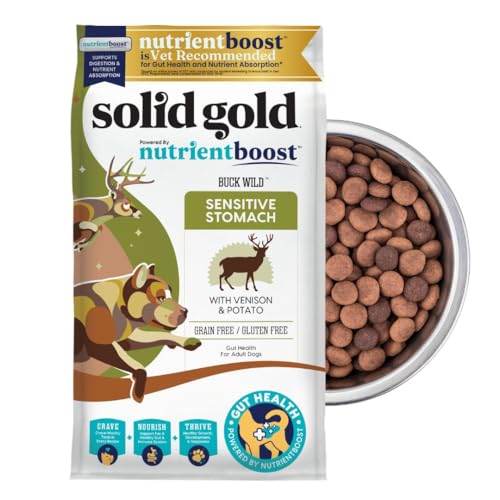 Best Dog Food for Goldendoodles With Sensitive Stomach