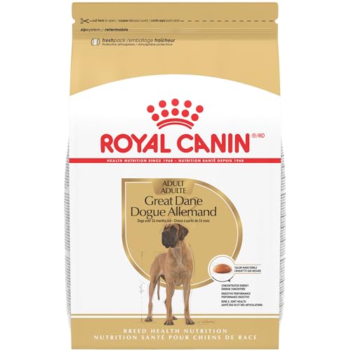 Best Dog Food for Great Dane Puppy