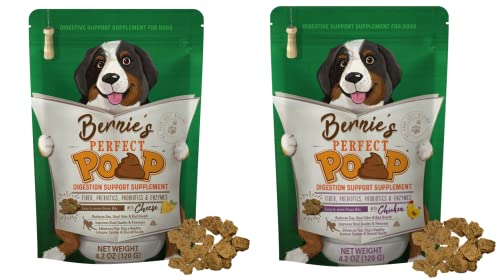 Best Dog Food for Hard Poop