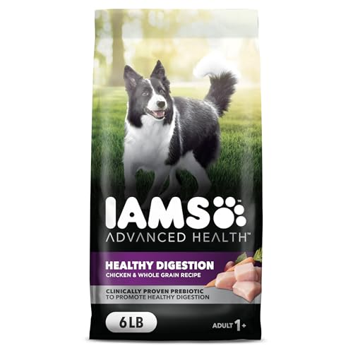 Best Dog Food for Healthy Digestion