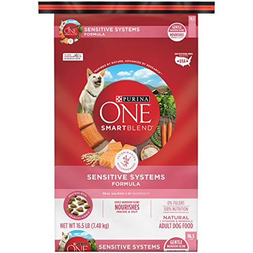 Best Dog Food for Healthy Skin