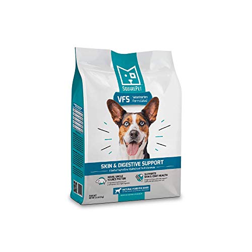 Best Dog Food for Ibd