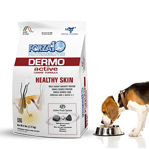 Best Dog Food for Inflammation