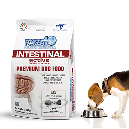 Best Dog Food for Intestinal Problems