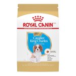 Best Dog Food for King Charles Spaniel