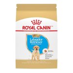 Best Dog Food for Labrador Retriever Puppy