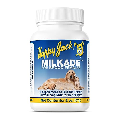 Best Dog Food for Lactating Dogs